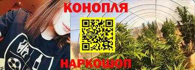 каннабис Гатчина
