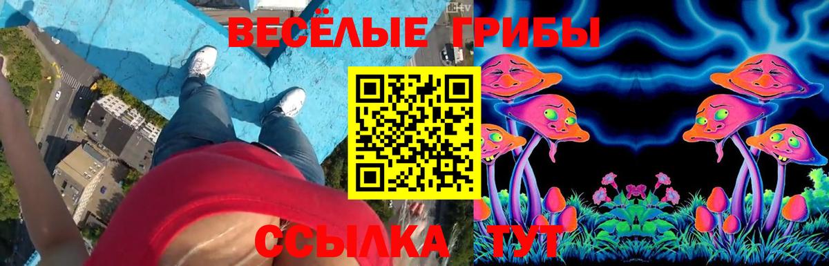 Псилоцибиновые грибы Psilocybe  Вход с VPN  Псилоцибиновые грибы Cubensis  Валуйки 